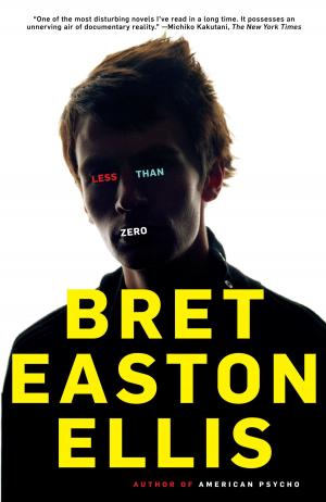 Cover of the book Less Than Zero by Nicholson Baker