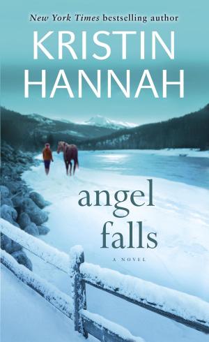 Cover of the book Angel Falls by David Sherman, Dan Cragg