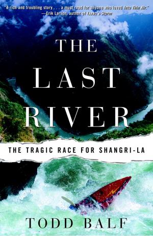 Book cover of The Last River