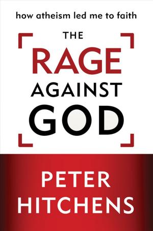 Cover of the book The Rage Against God by Robin Lee Hatcher