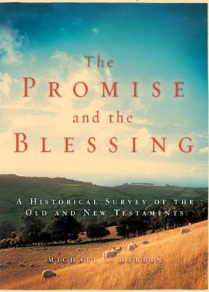 Cover of the book The Promise and the Blessing by Andy Stanley