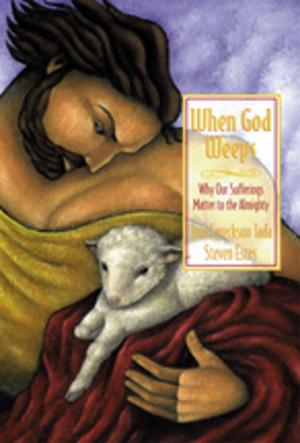 Cover of the book When God Weeps by Barna Group, David Kim