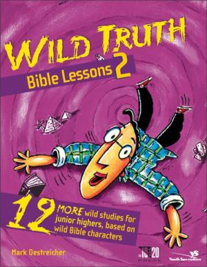 bigCover of the book Wild Truth Bible Lessons 2 by 