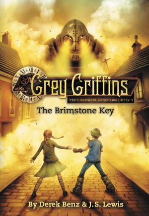 Book cover of Grey Griffins: The Brimstone Key