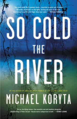 Book cover of So Cold the River