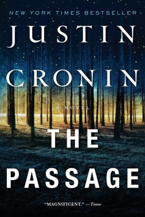 Cover of the book The Passage by Whitney Gaskell