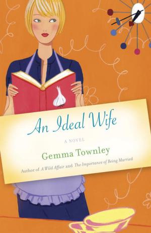 Cover of the book An Ideal Wife by Jim Schnabel