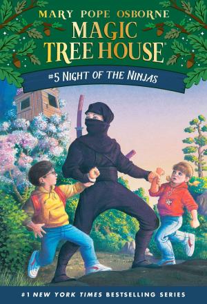 Cover of the book Night of the Ninjas by Barbara Herkert, Vanessa Brantley-Newton