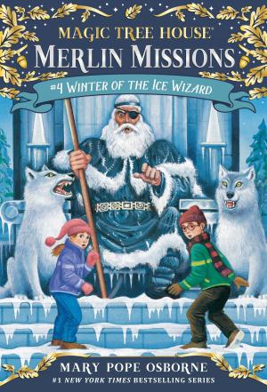 Cover of the book Winter of the Ice Wizard by Nicole Williams