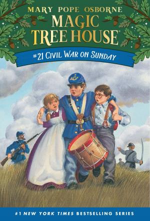 Cover of the book Civil War on Sunday by Stan Berenstain, Jan Berenstain