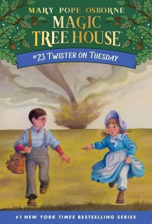 Cover of the book Twister on Tuesday by Charlotte Foltz Jones