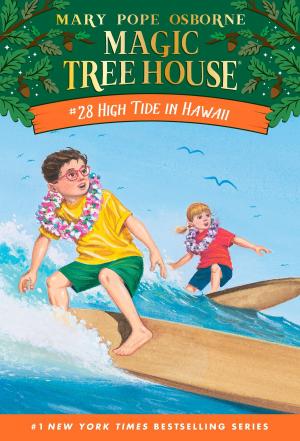 Cover of the book High Tide in Hawaii by Amy Christine Parker