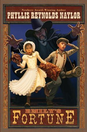 Cover of the book Emily's Fortune by Chris McCoy