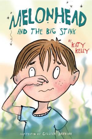 Cover of the book Melonhead and the Big Stink by Jeyn Roberts