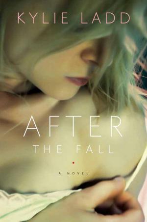 Cover of the book After the Fall by Christine Lincoln