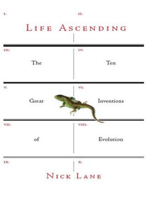 bigCover of the book Life Ascending: The Ten Great Inventions of Evolution by 