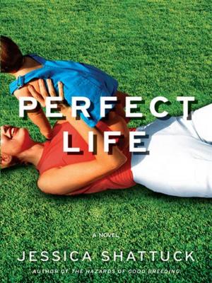 Cover of the book Perfect Life: A Novel by Stephen Dunn