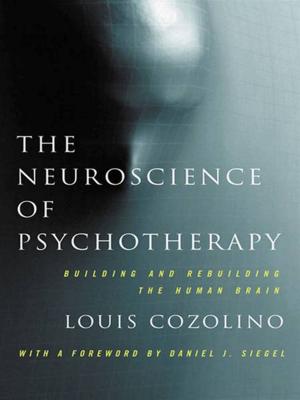 Book cover of The Neuroscience of Psychotherapy: Healing the Social Brain (Second Edition) (Norton Series on Interpersonal Neurobiology)