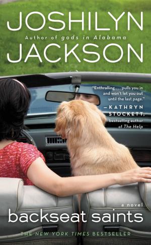 Cover of the book Backseat Saints by Angela Bureau