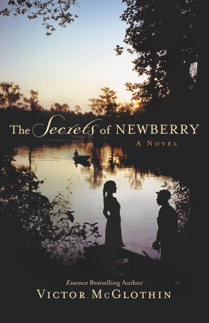 Cover of the book The Secrets of Newberry by Christopher Steiner