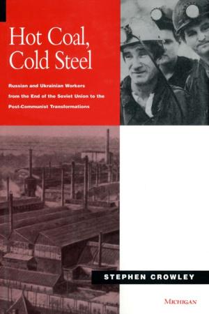 Cover of the book Hot Coal, Cold Steel by Rajesh Chadha, Alan Verne Deardorff, Sanjib Pohit, Robert Mitchell Stern