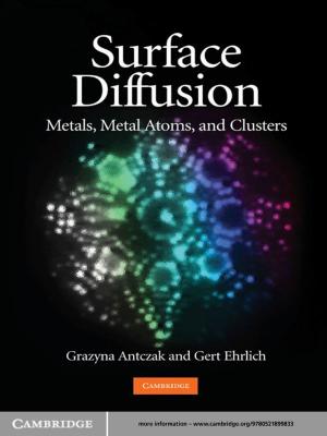 Cover of the book Surface Diffusion by Günter Last, Mathew Penrose