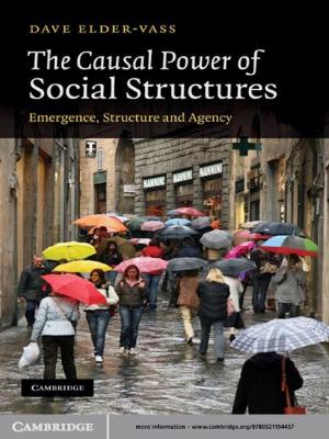 Book cover of The Causal Power of Social Structures