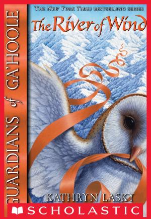 bigCover of the book Guardians of Ga'Hoole #13: River of Wind by 