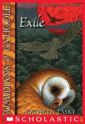 bigCover of the book Guardians of Ga'Hoole #14: The Exile by 