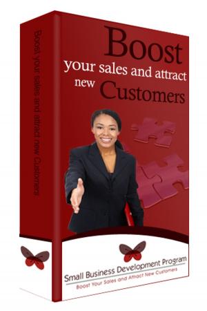 bigCover of the book Boost Your Sales and Attract New Customers by 