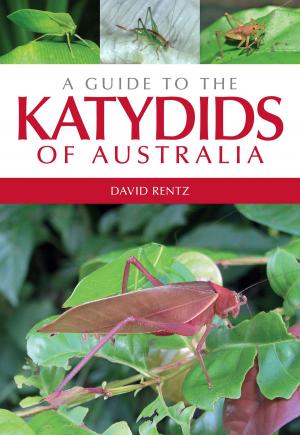 Cover of the book A Guide to the Katydids of Australia by Julian Cribb, Tjempaka Sari