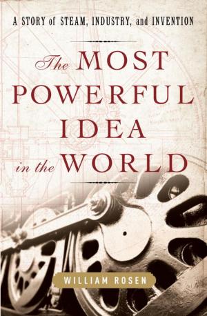 Cover of the book The Most Powerful Idea in the World by Mark Twain, Charles Dudley Warner