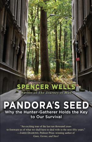 Cover of the book Pandora's Seed by Jane Feather