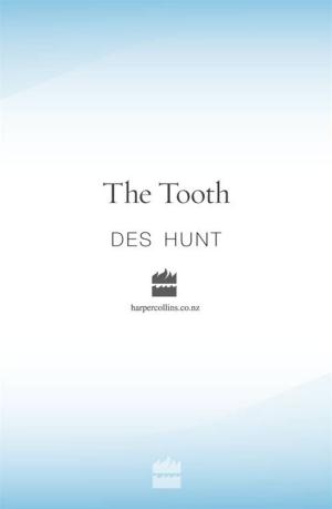 Book cover of The Tooth