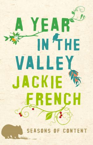 Book cover of Year in the Valley