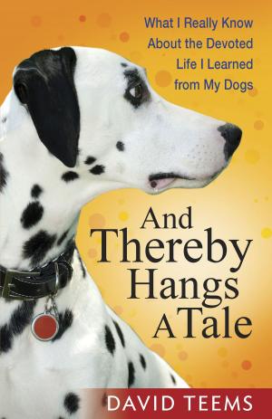Cover of the book And Thereby Hangs a Tale by Georgia Varozza