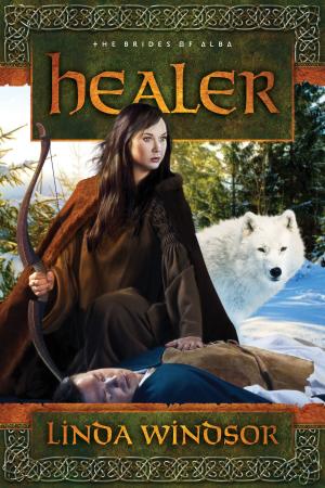 Cover of the book Healer: A Novel by Dwight Robertson