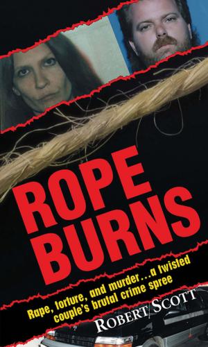 Cover of the book Rope Burns by Symone Hengy