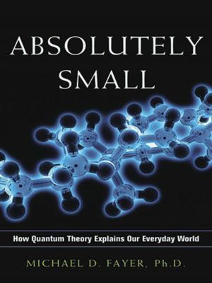 Cover of the book Absolutely Small by John Baldoni