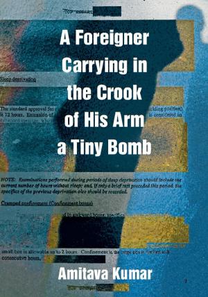 Book cover of A Foreigner Carrying in the Crook of His Arm a Tiny Bomb