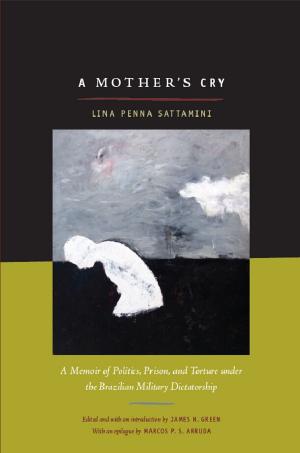 Cover of the book A Mother's Cry by David Luis-Brown, Donald E. Pease