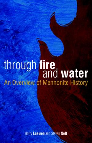 Cover of the book Through Fire and Water by Ernest D Martin