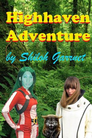 bigCover of the book Highhaven Adventure by 