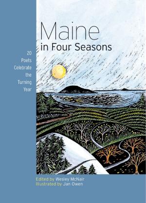 Cover of the book Maine in Four Seasons by Liza Gardner Walsh