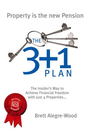 Cover of the book The 3+1 Plan by Nathan Brown