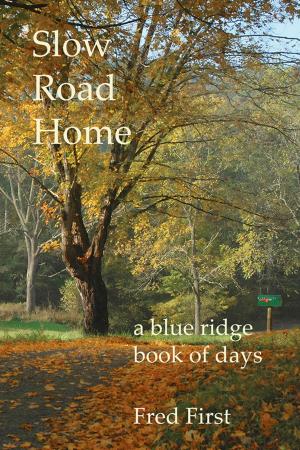 Cover of the book Slow Road Home ~ a Blue Ridge Book of Days by 于海英