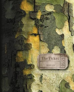 Cover of the book The Ticket by Rowena Bennett