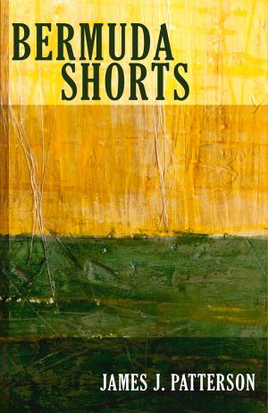 bigCover of the book Bermuda Shorts by 