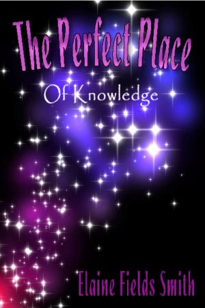 Cover of the book The Perfect Place Of Knowledge by Jay El Mitchell