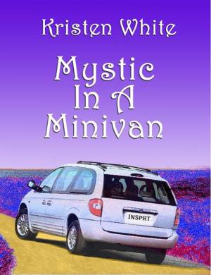 Cover of the book Mystic in a Minivan by Larry Senn, Jim Hart